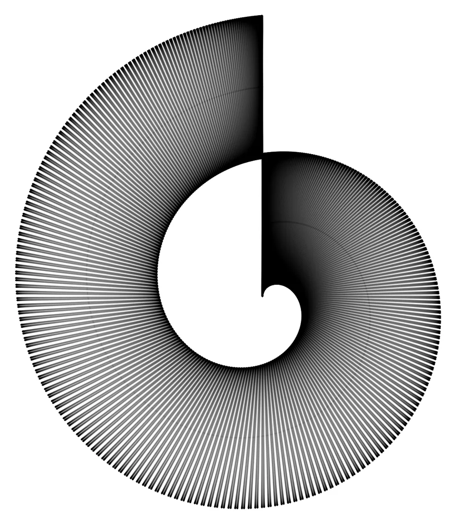 A spiral of fine lines winding inward to a single point.